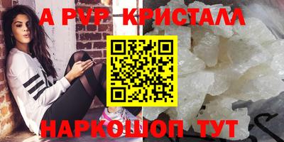 индика Можга