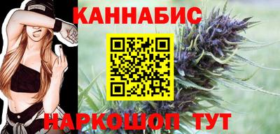 индика Можга
