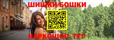 индика Можга