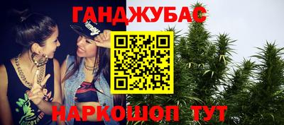 индика Можга