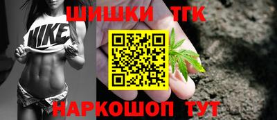 индика Можга
